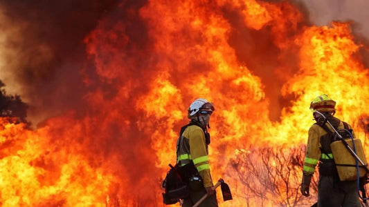 ¿Naturaleza o pirómanos? Los incendios de Castilla y León